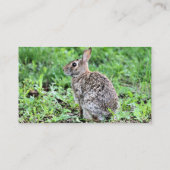 Bunny Visitekaartje (Achterkant)