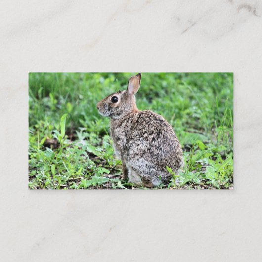 Bunny Visitekaartje (Achterkant)
