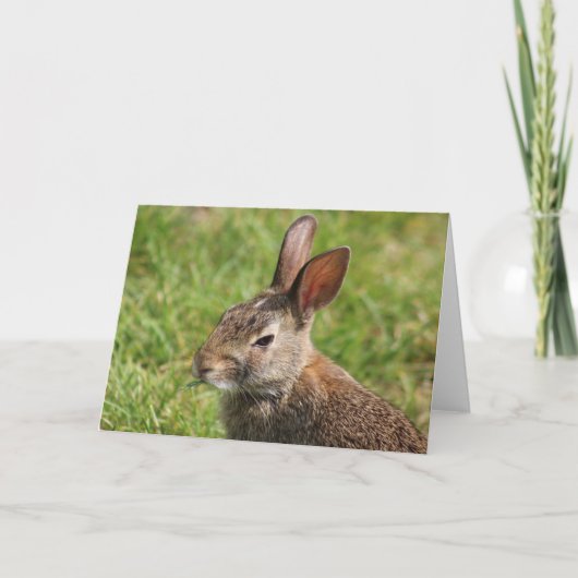 Bunny Wenskaart Kaart (Voorkant)