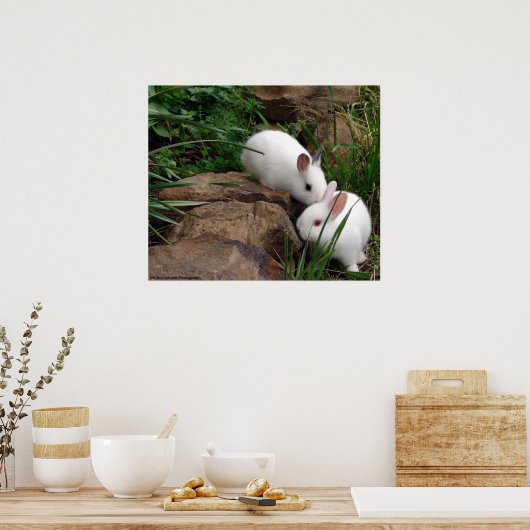Bunny whisker poster (Keuken)