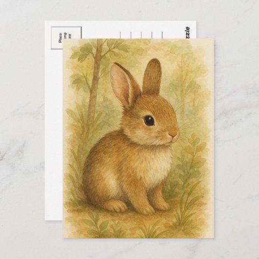 Bunny Young Hare Baby Rabbit Wild Animals Briefkaa Briefkaart (Voorkant / Achterkant)