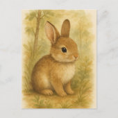 Bunny Young Hare Baby Rabbit Wild Animals Briefkaa Briefkaart (Voorkant)