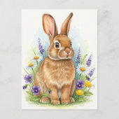 Bunny Young Hare Baby Rabbit Wild Animals Briefkaa Briefkaart (Voorkant)
