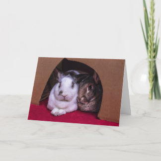 BunnyLuv Valentijnsdag kaart (van haar)