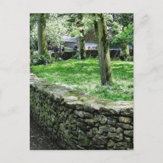 Bunratty Castle 3 Briefkaart (Voorkant)