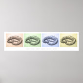 Bunte Brezeln Poster (Voorkant)