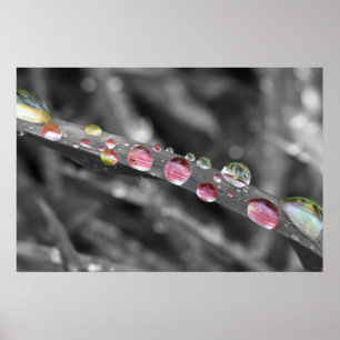 Bunte Tropfen-colorful drops-druppels Poster