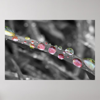 Bunte Tropfen-colorful drops-druppels Poster