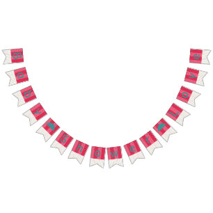 Bunting Baby shower "Paraplu Watermeloen" Vlaggetjes