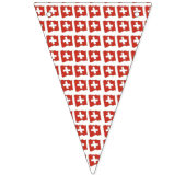 Bunting Banner Zwitserland (Derde vlag)