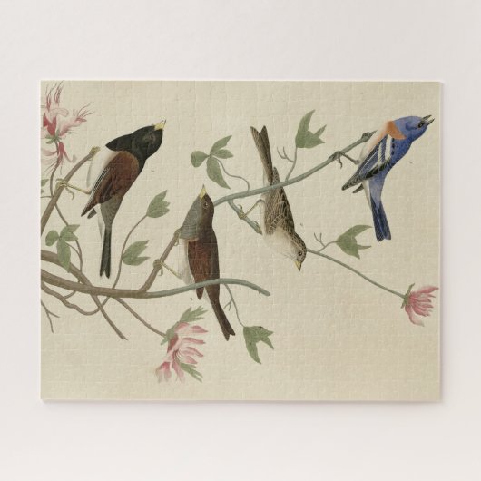 Bunting, Sparrow, Junco (Finches) Audubon's vogels Legpuzzel (Horizontaal)