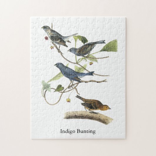 Bunting van de indigo, John James Audubon Legpuzzel (Verticaal)