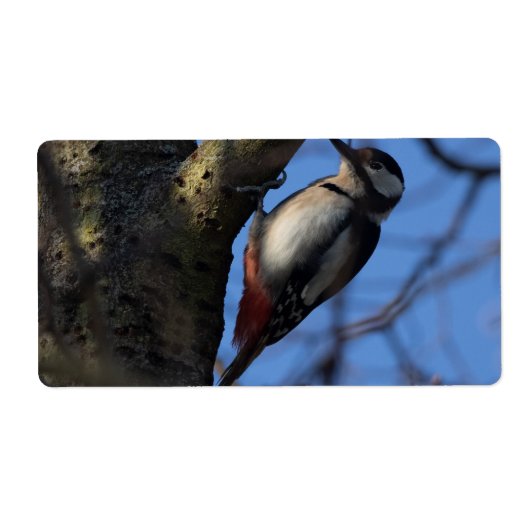 Buntspecht Etiket (Voorkant)