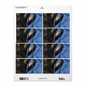 Buntspecht Etiket (Full Sheet)