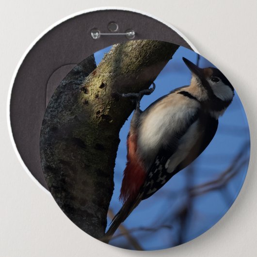 Buntspecht Ronde Button 6,0 Cm (Voorkant /achterkant)