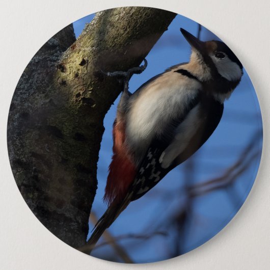 Buntspecht Ronde Button 6,0 Cm (Voorkant)
