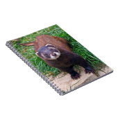Bunzing Notitieboek (Rechterzijde)