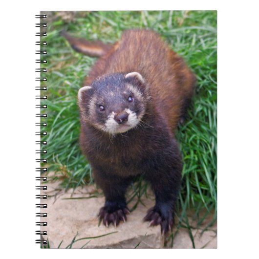 Bunzing Notitieboek (Voorkant)