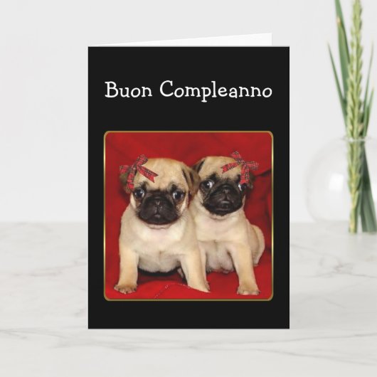 Buon compleanno Verjaardag Pugs wenskaart Kaart (Voorkant)