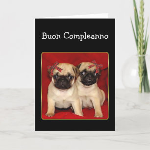 Buon complex Birthday Pugs wenskaart Kaart