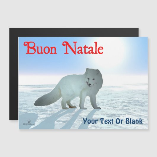 Buon Natale - Arctic Fox (Voorkant / Achterkant)
