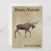Buon Natale - Bull Moose op oud papier (Voorkant)