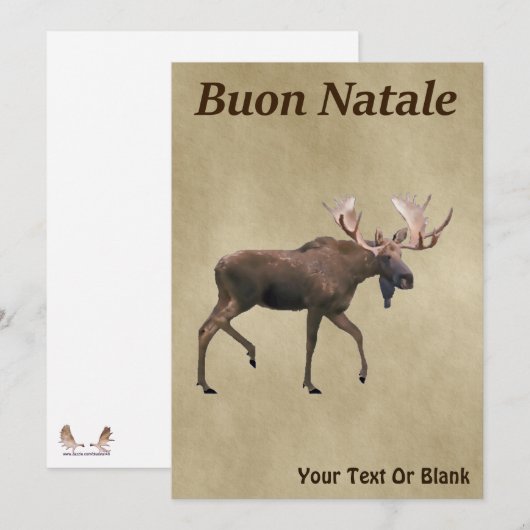 Buon Natale - Bull Moose op oud papier (Voorkant / Achterkant)
