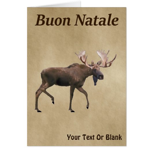 Buon Natale - Bull Moose op oud papier (Voorkant)
