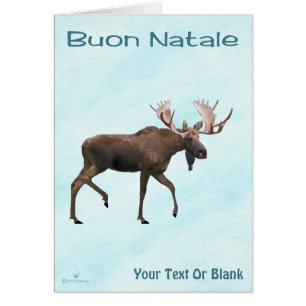 Buon Natale - Bull Moose op sneeuw