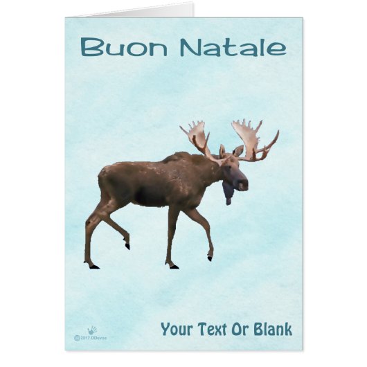 Buon Natale - Bull Moose op sneeuw (Voorkant)