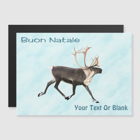 Buon Natale - Cariou (rendier) op sneeuw (Voorkant / Achterkant)