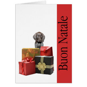 Buon Natale German shorthaired pup Chistmas