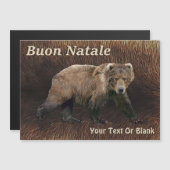 Buon Natale - Kodiak - Beer over de Caraïben-vier (Voorkant / Achterkant)