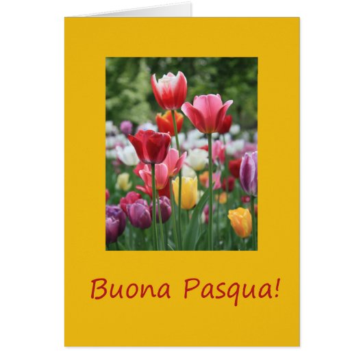 Buona Pasqua Italy Happy Pasaster (Voorkant)