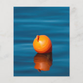Buoy Flyer (Voorkant)