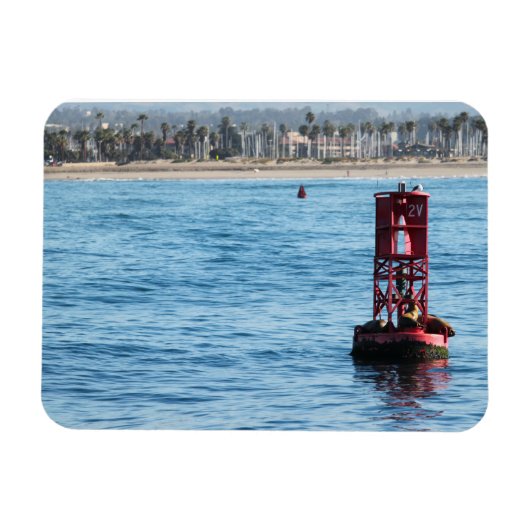 Buoy Zee Leeuwen Magneet (Horizontaal)