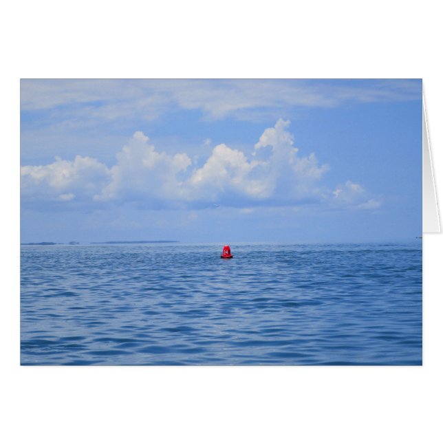 Buoy's Life II (Voorkant Horizontaal)