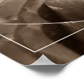 Buquê de folhas poster (Hoek)