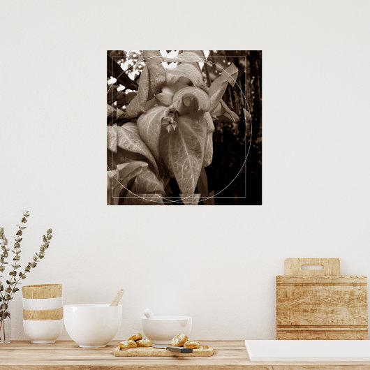 Buquê de folhas poster (Keuken)