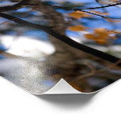 burb in het westen foto afdruk (Hoek)