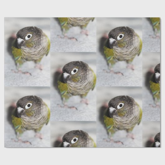 Burbel Cadeaupapier (Vlak)