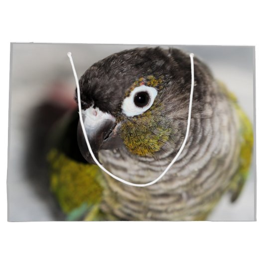 Burbel Groot Cadeauzakje (Achterkant)