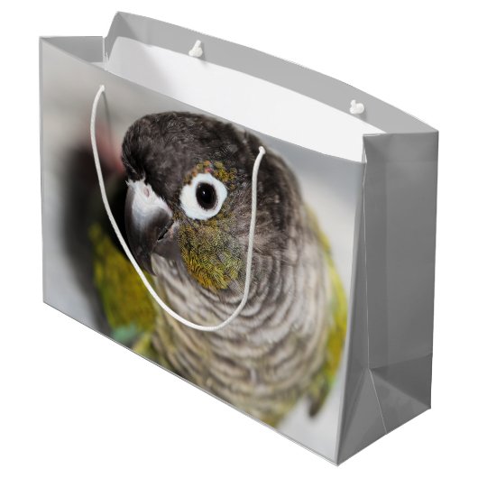 Burbel Groot Cadeauzakje (Achterkant Gekanteld)