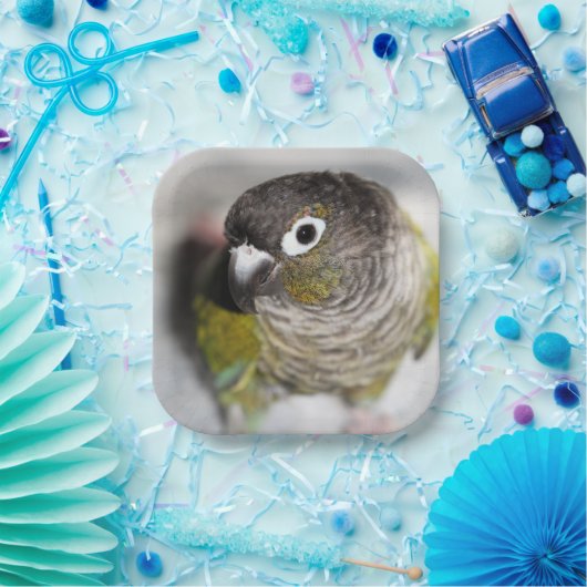 Burbel Papieren Bordje (Feest)