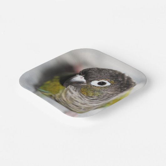 Burbel Papieren Bordje (Gebogen)