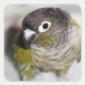 Burbel Vierkante Sticker (Voorkant)