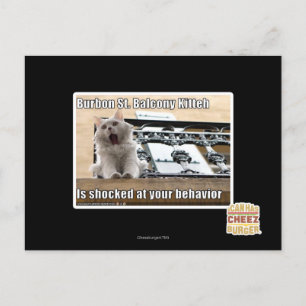 Burbon St. Balkon Kitten Briefkaart