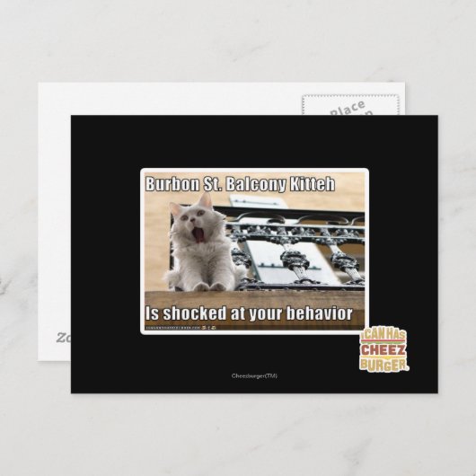 Burbon St. Balkon Kitten Briefkaart (Voorkant / Achterkant)