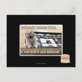 Burbon St. Balkon Kitten Briefkaart (Voorkant)