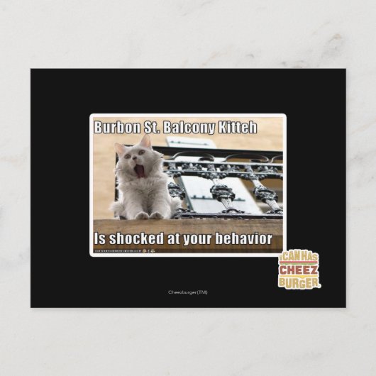 Burbon St. Balkon Kitten Briefkaart (Voorkant)